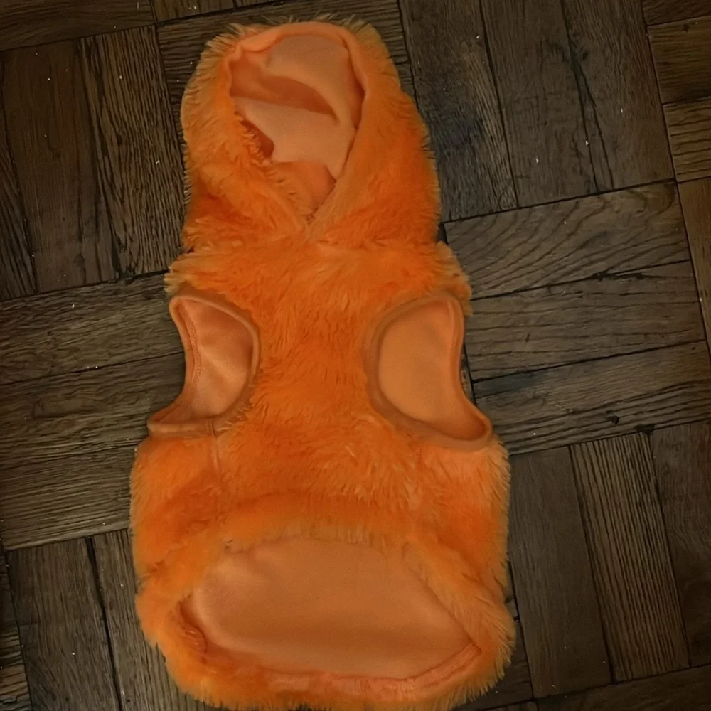 pumpkin costume size; M fits a shihpoo